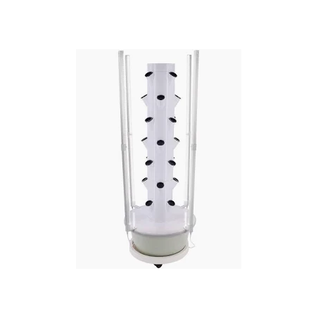 Kit démarrage basilic urbain